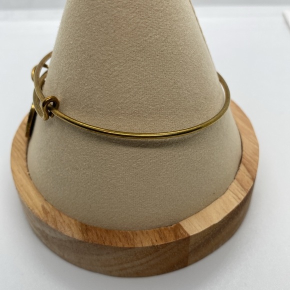 Alex and Ani True Direction Charm Bangle Bracelet/Rafaelian Gold/Good Condition - Picture 5 of 6